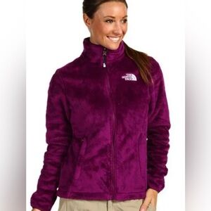 The North Face Osito 2 Jacket